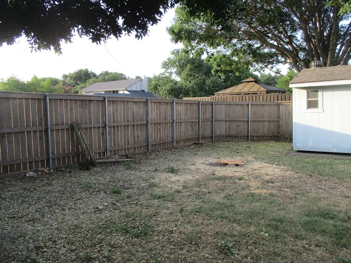Cleared yard after professional tree removal in Savonburg