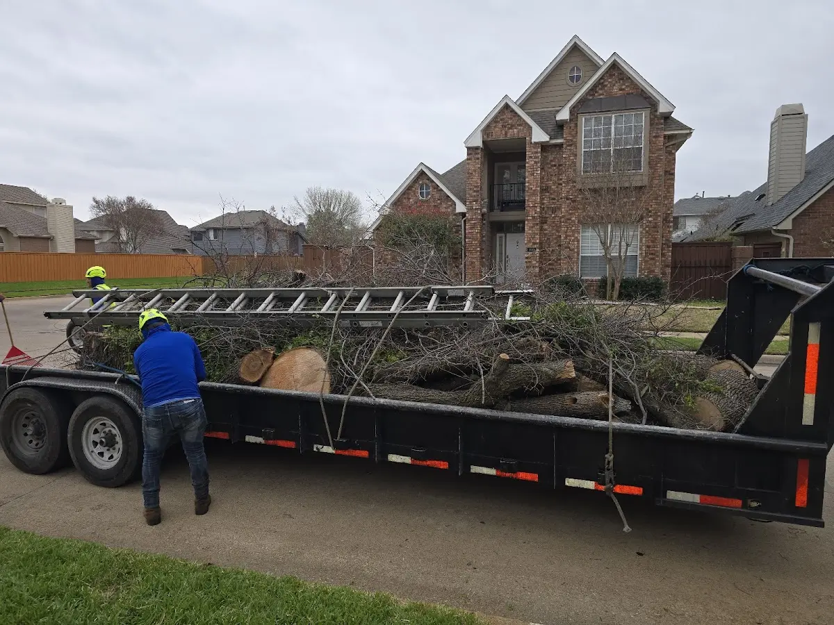 Expert Tree Fertilization with proper safety equipment in Savonburg